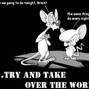 Meet your Posher, Cody